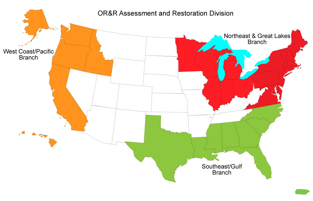 A map of the U.S. labeled "OR&R Assessment and Restoration Division" highlighting the "West Coast/Pacific Branch," "Northeast & Great Lakes Branch," and "Southeast/Gulf Branch.".