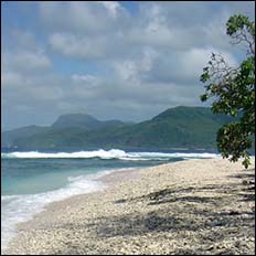 An oil-free beach with waves rolling in. Mountains in background.