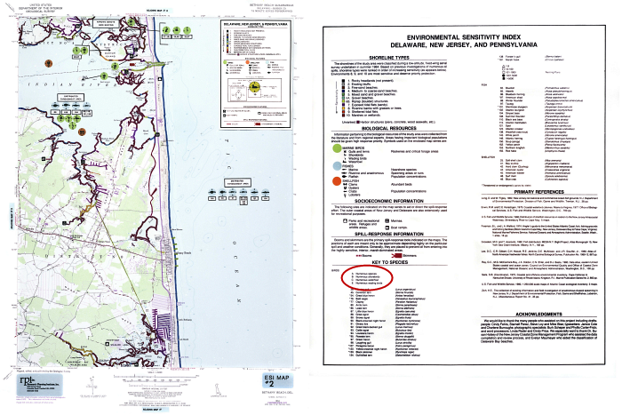 The 1985 ESI map of Indian River Bay and the accompanying information from the back of the map.