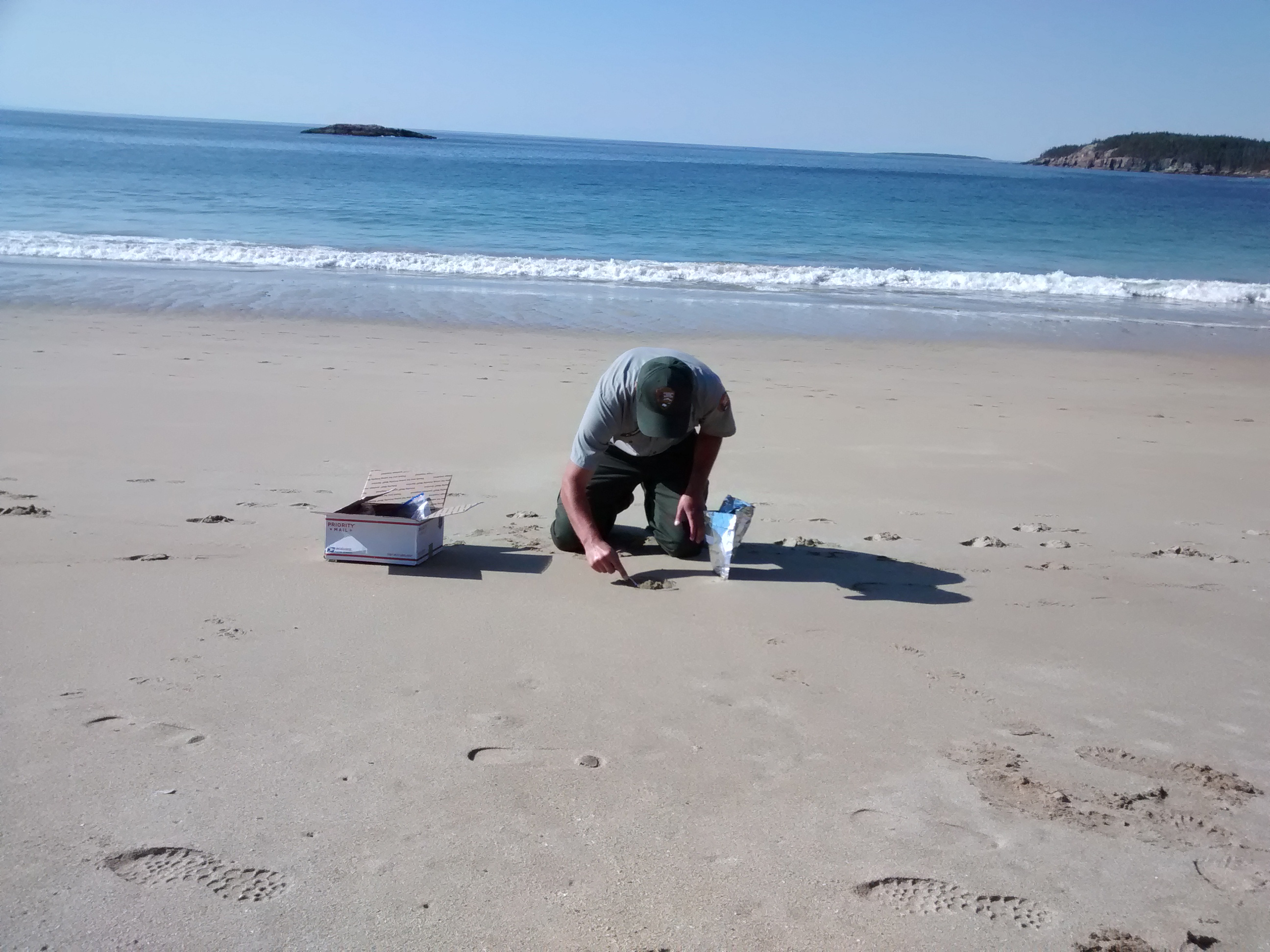  Man kneeling on beach.