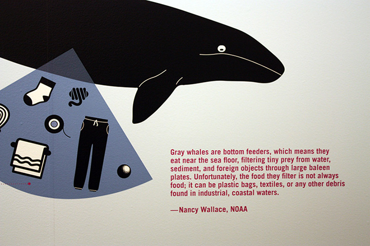 A painting of a gray whale and marine debris on a wall with a quote from the Marine Debris Program Director about debris' impacts on large marine mammals.