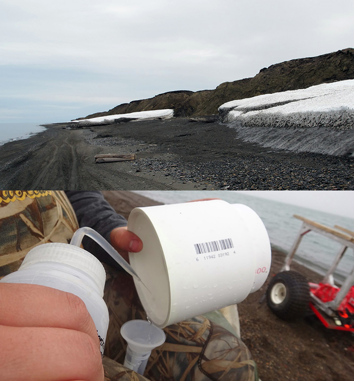 Snow on the shoreline below eroding tundra on the Chukchi coast and close-up of person squirting liquid into a cup to flush plankton into a test tube.