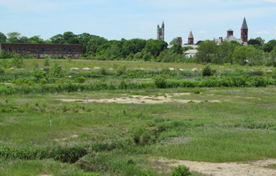 After restoration: A newly created northern salt marsh, shown in June 2013, at the site of the former Atlas Tack factory. Bare spots are filling in but a fully covered wetland landscape is likely still a few years away. (NOAA)