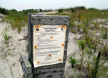 Guidelines for visitors reduce the risk of injury or stress to the North Brigantine Natural Area.