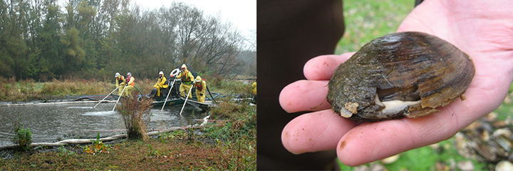 Left, cleanup workers spray water into river sediments from a boat and at right, a hand holding a crushed mussel.