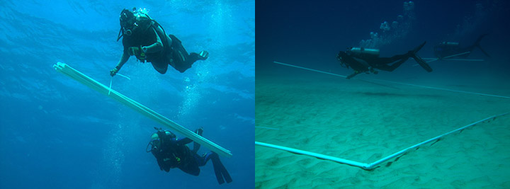 Divers bring PVC pipes down to the seafloor and lay them into a square.