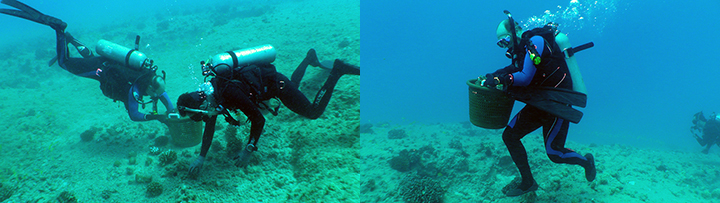 Left: Two divers unload a basket full of loose corals into a safe holding area so that they can be returned after the rubble from the grounding site is removed, minimizing further impacts. Right: A diver moves a collection basket full of loose corals to a safe area.