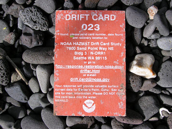 Photo: A weathered, orange drift card on a cobble beach.