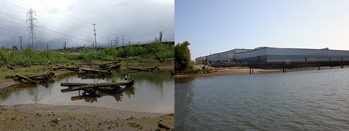 An estuary with mature vegetation and large logs strewn about the water and a river shoreline with a factory.