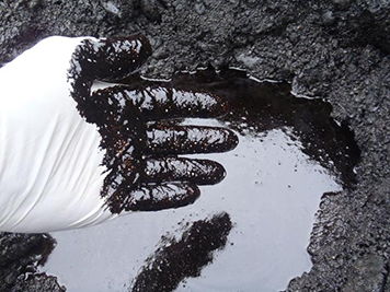 Gloved hand dipped in black oil in a pool of oil in shoreline sediments.