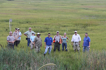 The natural resource trustees celebrate the restoration of Slough’s Gut Marsh in August 2013.