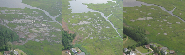 Time sequence of Slough's Gut Marsh from above showing bare patches of open water filling in with healthy marsh grass.