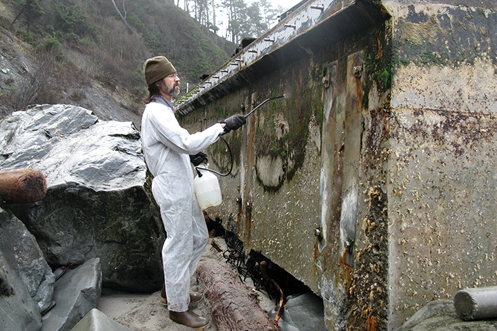 In an effort to reduce the spread of possible marine invasive species, a worker decontaminates the Japanese dock which beached on Washington’s Olympic Peninsula in December 2012.