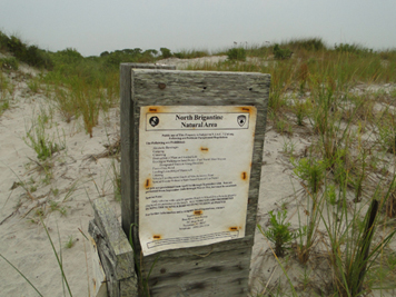 Coastal dune habitat and sign for wildlife conservation area on New Jersey coast.