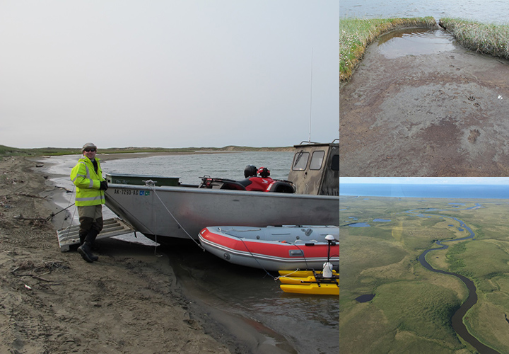 Left: People standing in and around two boats on shore. Top right: Wolf tracks in mud on a vegetated tundra shoreline. Bottom right: An aerial view of the coastline and winding waterways.