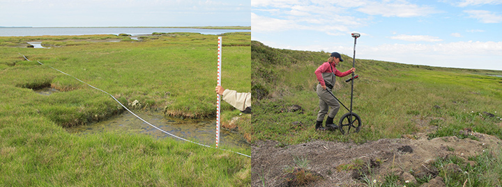 Left: Person's arm holding a measuring stick and tape over a marshy landscape. Right: Woman wheeling survey equipment across a grassy landscape.