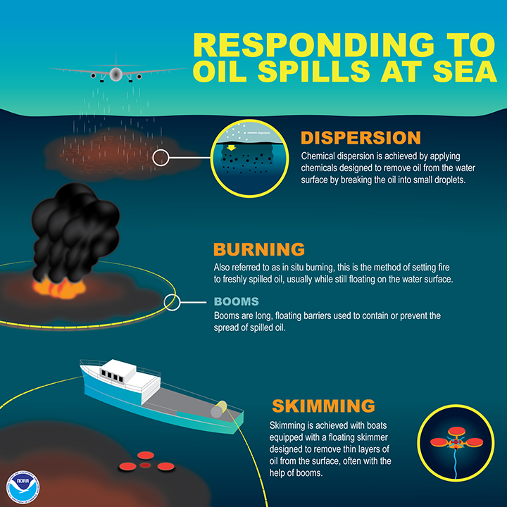 Graphic showing methods for responding to oil spills at sea. Plane applying chemical dispersants: Chemical dispersion is achieved by applying chemicals to remove oil from the water surface by breaking the oil into small droplets. Burning: Also referred to as in situ burning, this is the method of setting fire to freshly spilled oil, usually while still floating on the water surface. Booms: Booms are long floating barriers used to contain or prevent the spread of spilled oil. Skimming: Skimming is achieved with boats equipped with a floating skimmer designed to remove thin layers of oil from the surface, often with the help of booms.