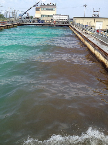 Oil completely mixed in the test tank water.