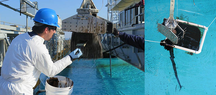 Left: A researcher applies oil from a bucket onto baleen in a clamp using a paintbrush. Right: Long baleen plates hung from a clamp are dipped through floating oil contained in a plastic ring in a salwater tank.