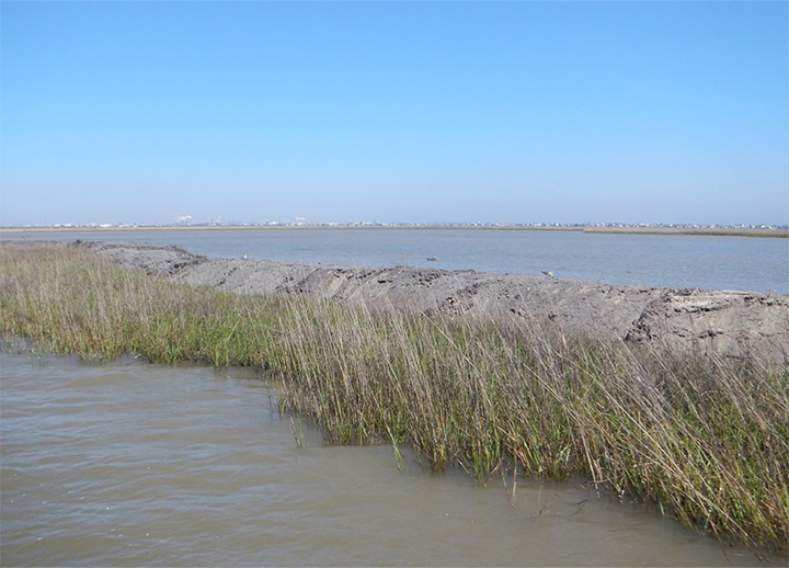 Small levee of sediment and grass in a marsh.