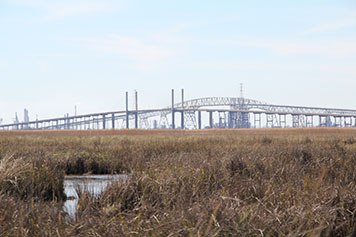 View of Rainbow Bridge from restored estuarine marsh.