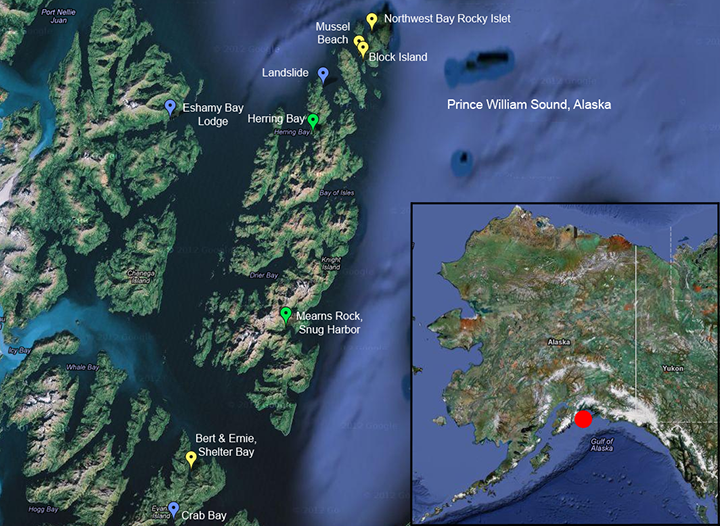 The locations of intertidal boulders in NOAA study in southwest Prince William Sound, Alaska, with Alaska map inset.