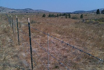 Barbed wire fence across sagebrush steppe habitat.