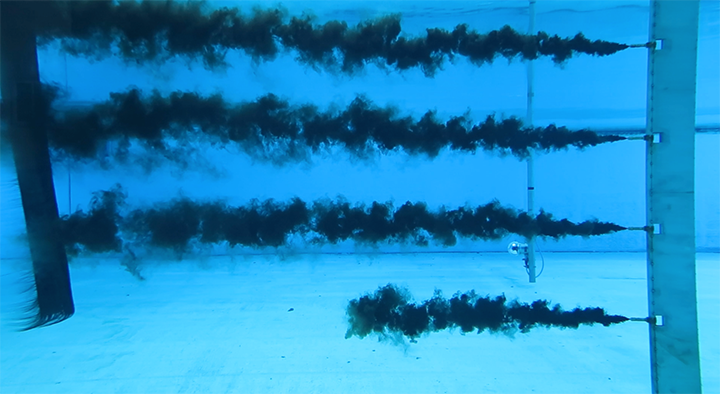 Four black plumes of dispersed oil are released underwater onto long plates of baleen moving behind the applicator.