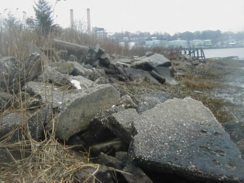 Rip rap along river at the Applied Environmental Sciences Site prior to restoration.