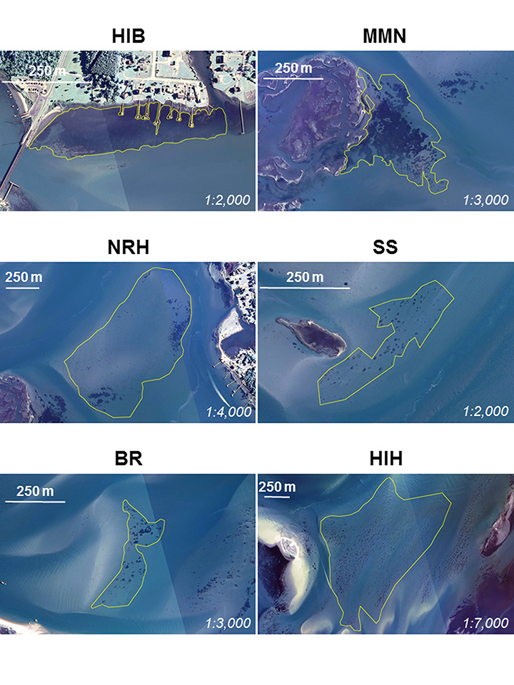 Six aerial photographs of seagrass habitat off the North Carolina coast, with yellow boundary lines drawn around general areas of seagrass habitat.