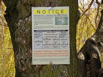 Fish consumption advisories, as seen posted here along the river, have been in place on the Sheboygan River since 1979.