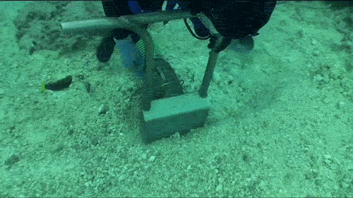 A SCUBA diver using a suction tube to vacuum coral rubble from the seafloor during coral restoration after the VogeTrader ship grounding.