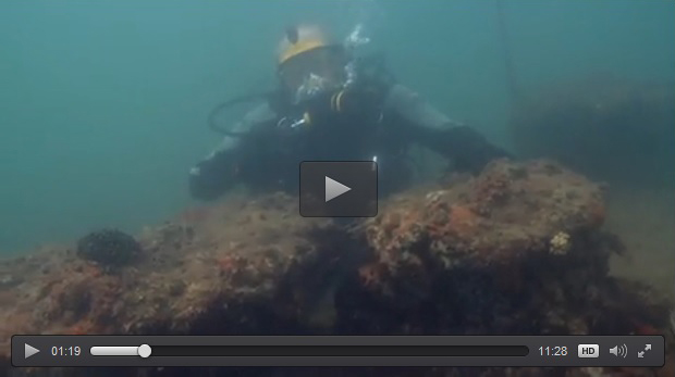 Video frame of a diver exploring a shipwreck.