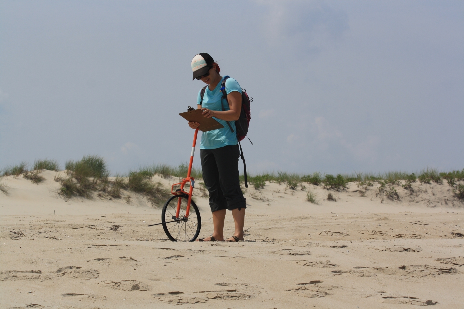 A woman on a beach holding a clipboard and a wheeled-instrument. 