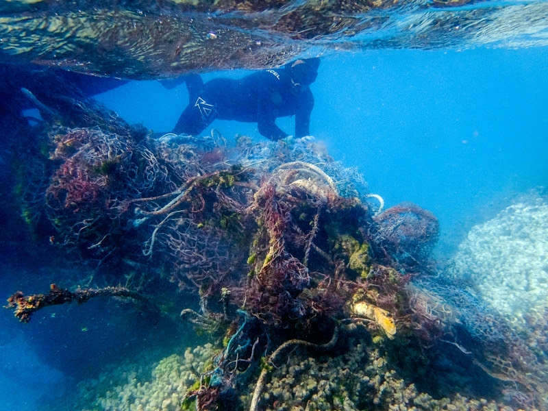 A diver moving toward fish netting.