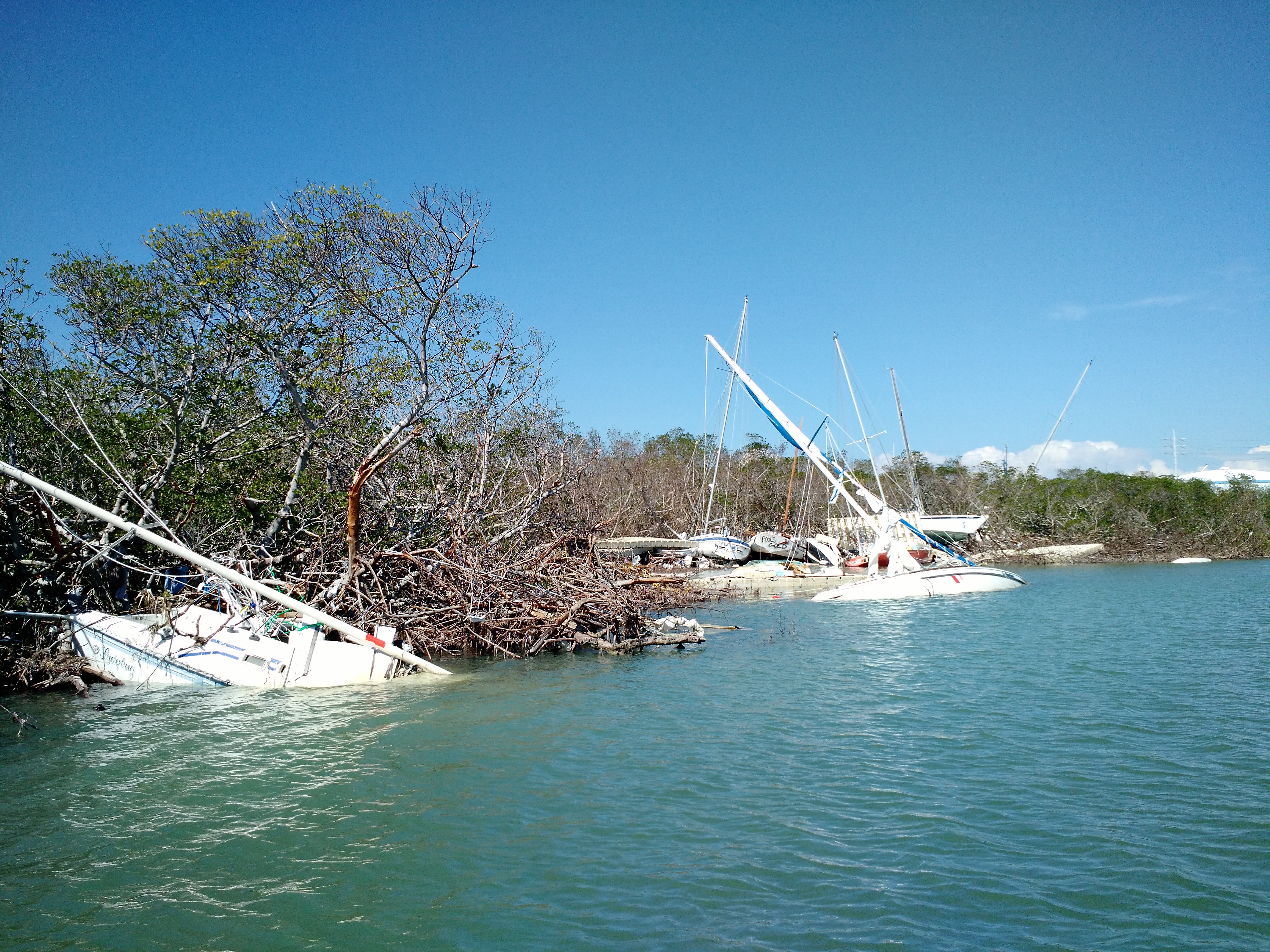 Several sinking, derelict vessels along a shoreline.
