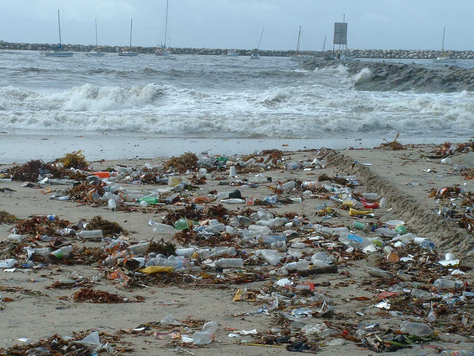 Debris littering a beach. 