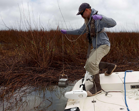 Scientist holds capturing device over the edge of a vessel in a marsh environment to collect surface sample data after an oil spill. 