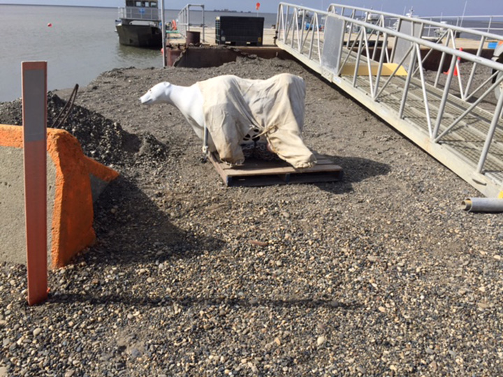 The fake polar bear used for the Mutual Aid Deployment exercise on Alaska's North Slope oil field. Image credit: NOAA.