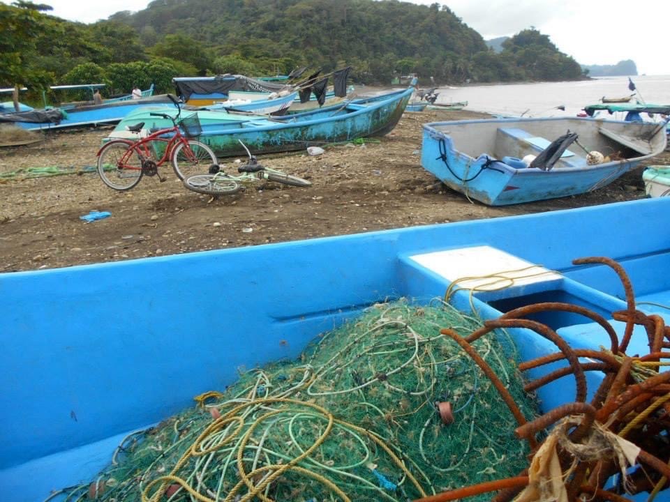 Fish netting in a boat on a beach.