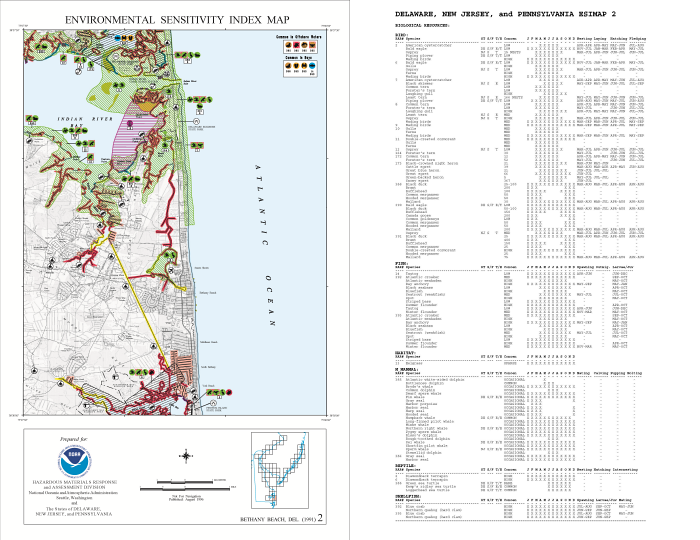 The 1996 ESI map of Indian River Bay and the accompanying information from the back of the map.