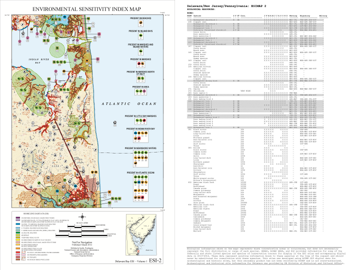 The 2014 ESI map of Indian River Bay and the accompanying information from the back of the map.