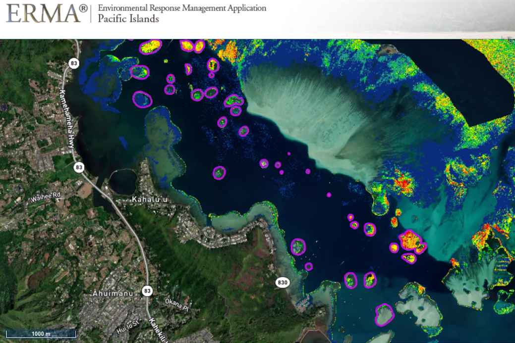 A screen capture of Pacific Islands ERMA's dashboard, which displays coral reef habitats circled in purple