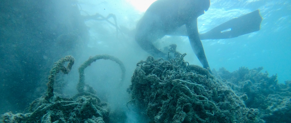 A diver underwater.