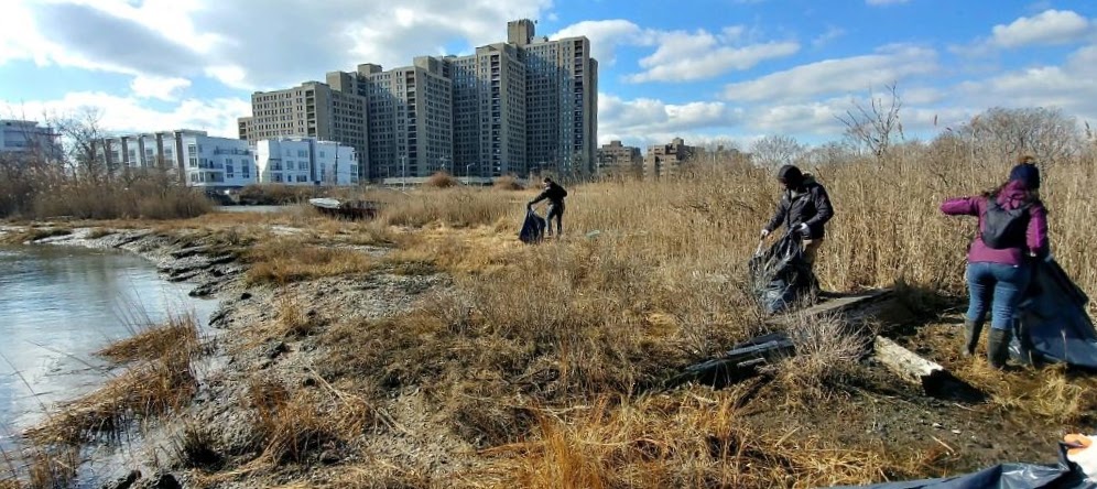 Three people walk along a shoreline and collect debris from the grass. Several large buildings can be seen in the background.