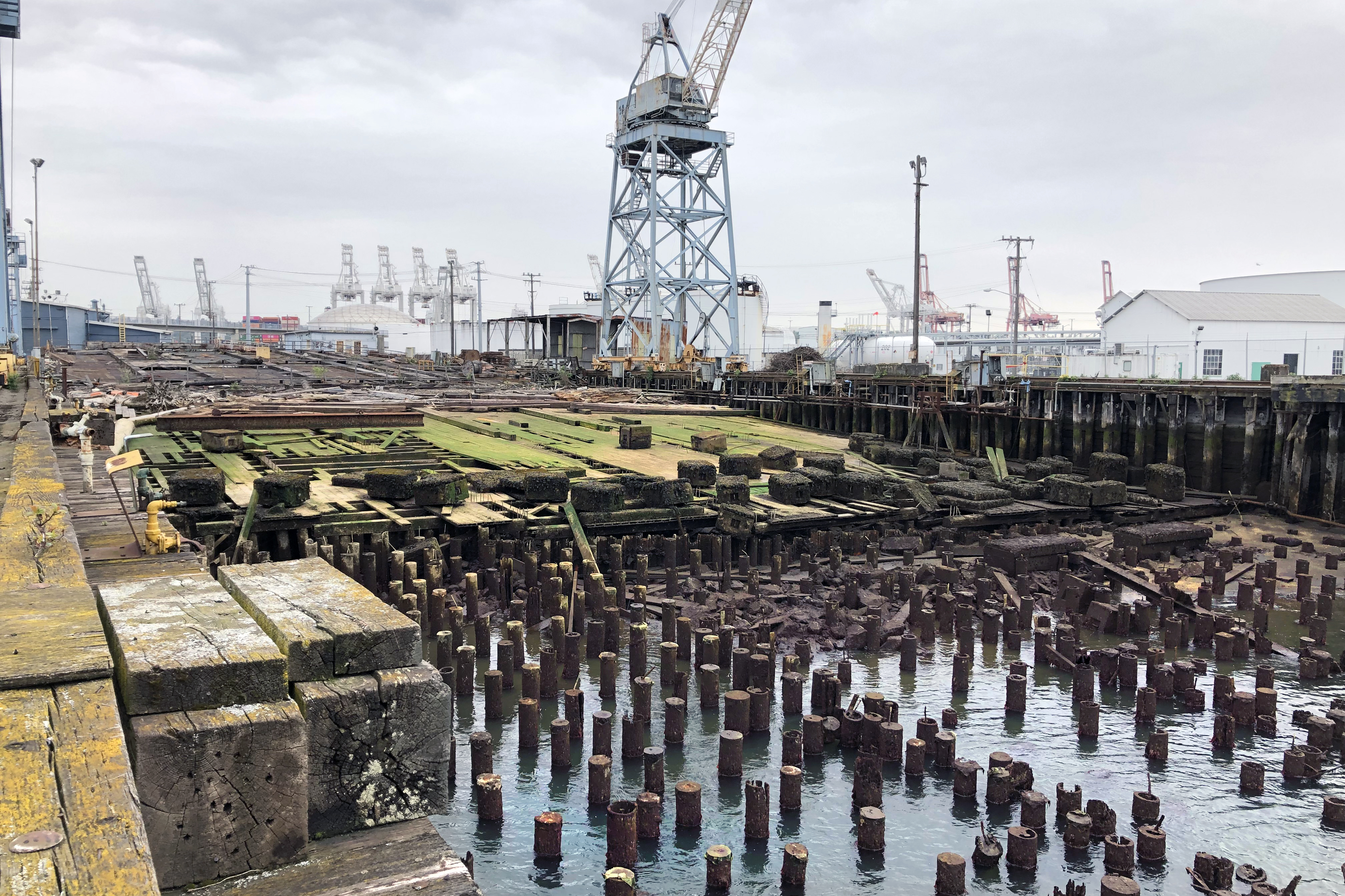 Pilings at a dock area. 