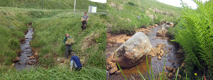 People replanting vegetation on Helmet Creek and close up of stream.