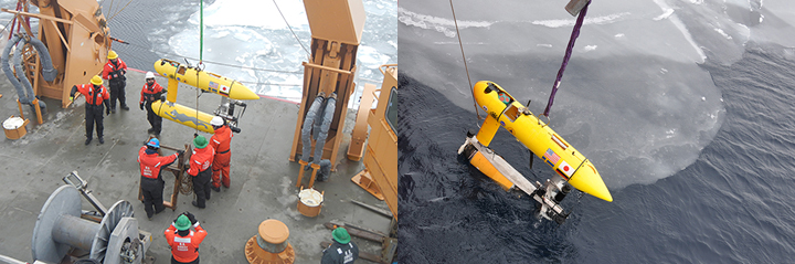 The Arctic Shield team prepares the Jaguar, an Autonomous Underwater Vehicle, for its underwater mission in the Arctic Ocean.