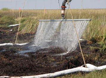 Low-pressure flushing was one of the options we tried for cleaning up the heavily oiled mats of marsh vegetation in Barataria Bay.