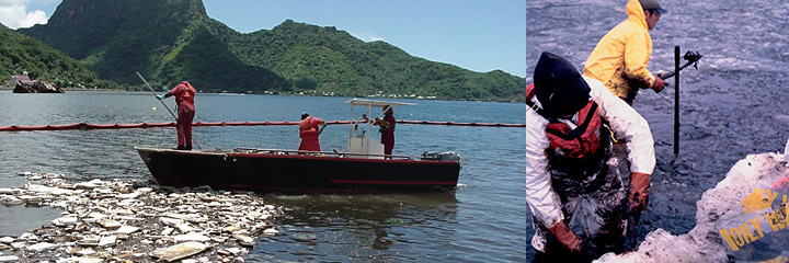 Left: People gathering oily debris from boats with tropical hillsides in background. Right: Cleanup workers in the ocean filling bags with oily waste.